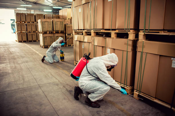 Best Pest Removal Services  in Crystal Lakes, OH