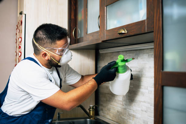 Best Pest Prevention Services  in Crystal Lakes, OH