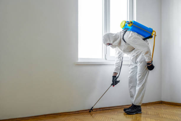 Best Best Pest Control Companies  in Crystal Lakes, OH