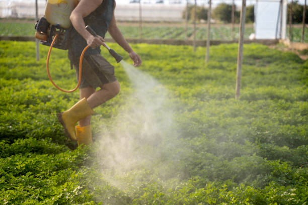 Wasp Removal Services in Crystal Lakes, OH