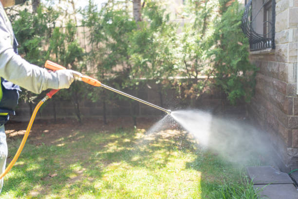Best Rat Extermination Near Me  in Crystal Lakes, OH