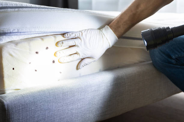 Best Exterminator Services  in Crystal Lakes, OH