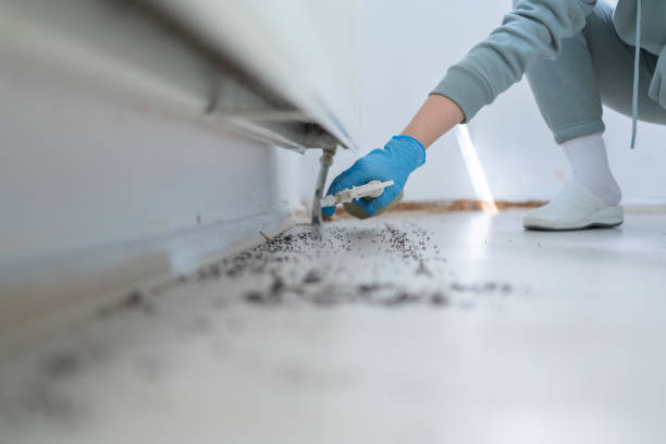 Best Rat Extermination Near Me  in Crystal Lakes, OH